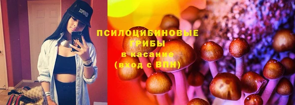 круглые Алзамай