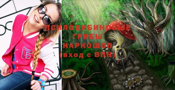 PSILOCYBIN Беломорск