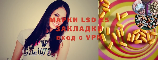 индика Белоозёрский