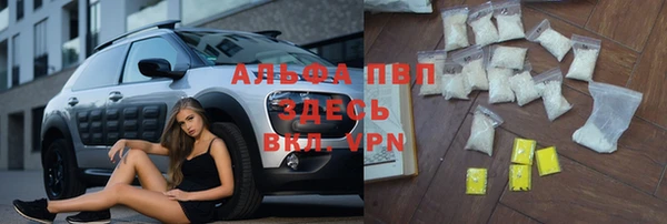PSILOCYBIN Беломорск
