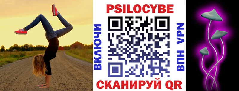Купить закладки  Ачинск  Псилоцибиновые грибы Psilocybine cubensis 